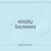 Rūdžių šalinimas