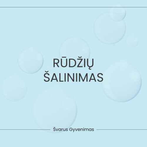 Rūdžių šalinimas